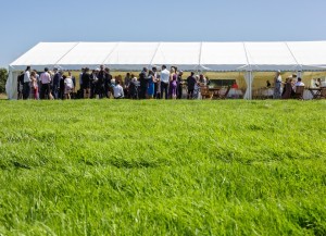 wedding in field, marquee, guests